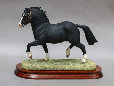 Lot 1077 - Border Fine Arts 'Welsh Cob Stallion'