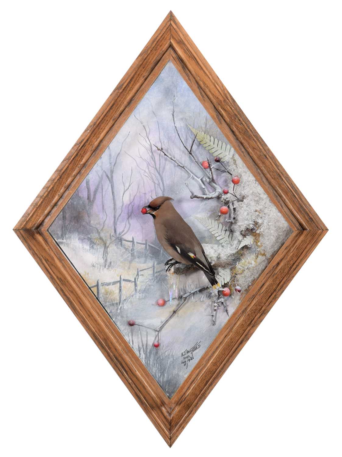 Lot 257 - Taxidermy: A Wall Cased Bohemian Waxwing...