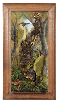 Lot 319 - Taxidermy: A Wall Cased Pair of European Green...