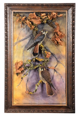 Lot 347 - Taxidermy: A Pair of Wall Cased American...