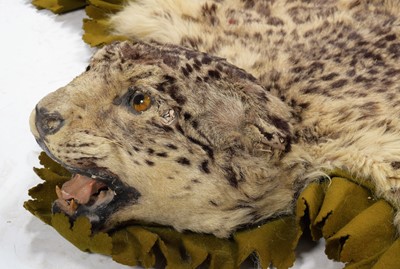 Lot 314 - Taxidermy: A Pair of Snow Leopard Skin Rugs...