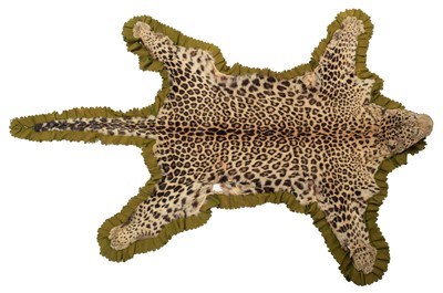 Lot 23 - Taxidermy: Indian Leopard Skin (Panthera...