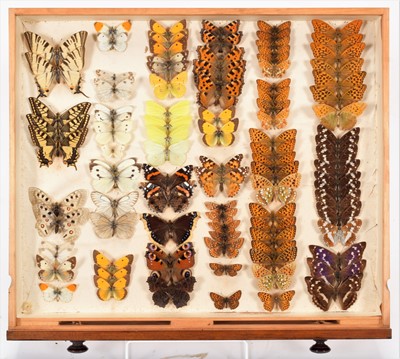 Lot 325 - Entomology: A Collection of European & World...