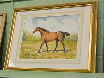 Lot 362 - Dorothy Margaret (1900-1992) and Elizabeth Mary Alderson (1900-1988) Study of a bay racehorse,...