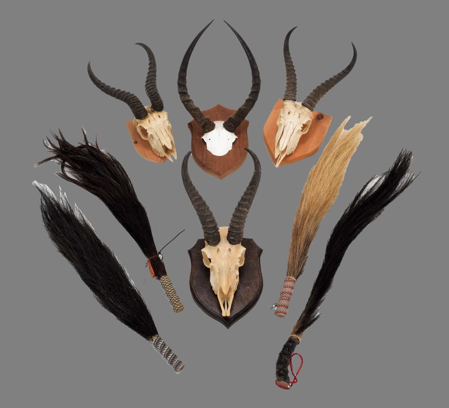 Lot 35 - Antlers/Horns: A group of African Game...