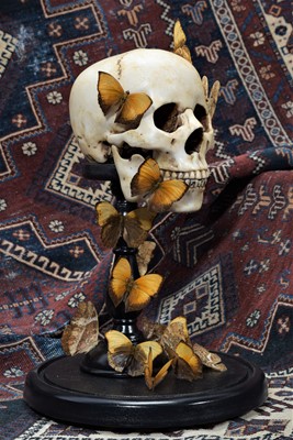 Lot 297 - Anatomy/Skulls/Entomology: A Butterfly Human...