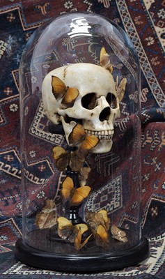 Lot 297 - Anatomy/Skulls/Entomology: A Butterfly Human...