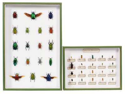 Lot 98 - Entomology/Coleoptera: A Collection of Various...