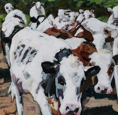 Lot 1055 - Lesley Heath Study of Cows Signed, oil on...