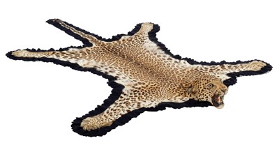 Lot 358 - Taxidermy: Indian Leopard Skin Rug (Panthera...