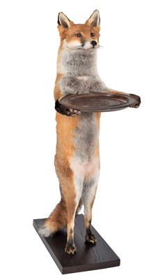 Lot 308 - Taxidermy: An Anthropomorphic Red Fox Waiter...