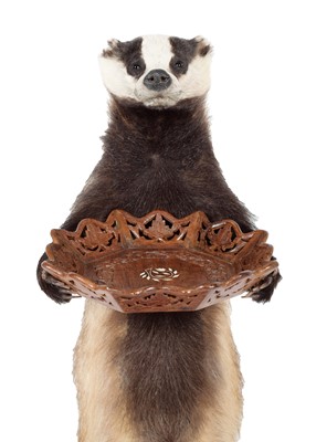 Lot 278 - Taxidermy: An Anthropomorphic Badger Waiter...