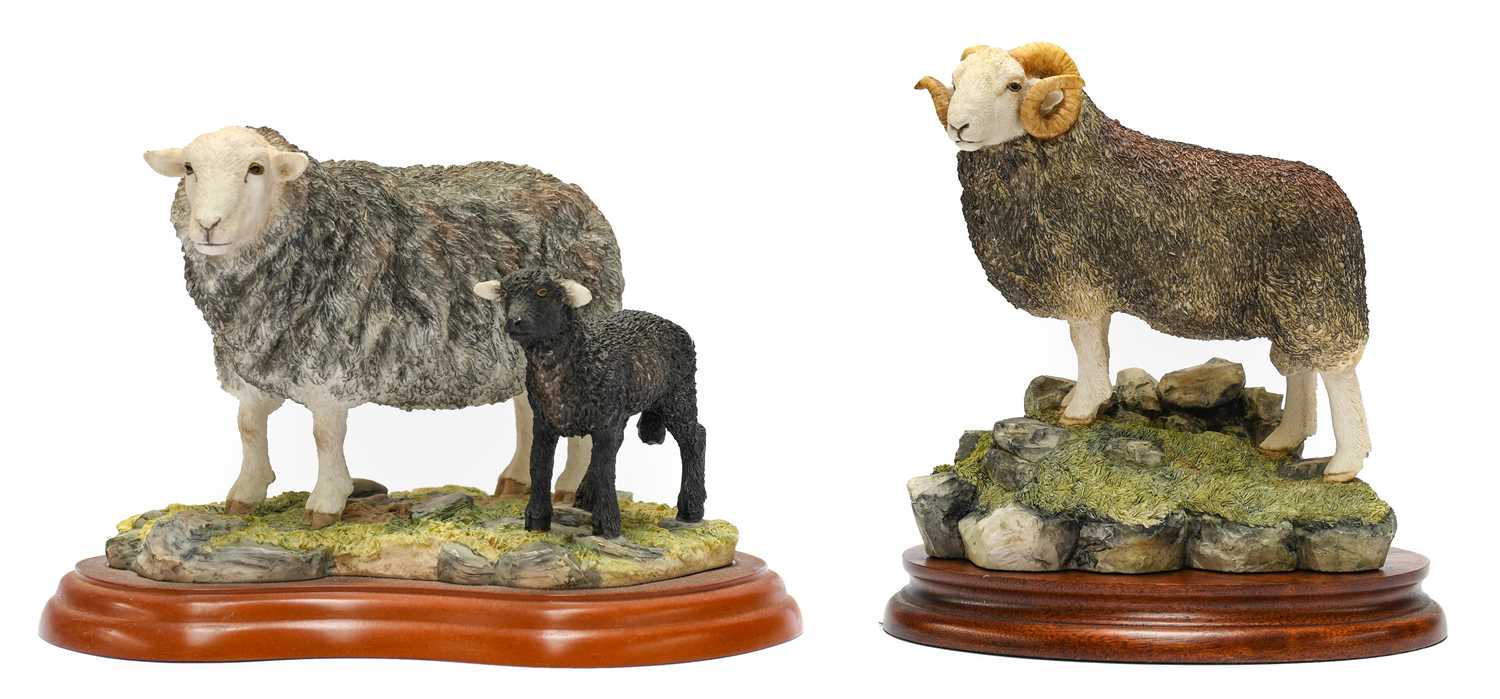 Lot 1090 - Border Fine Arts 'Herdwick Tup'