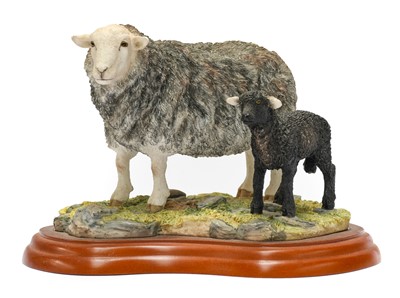 Lot 1090 - Border Fine Arts 'Herdwick Tup'