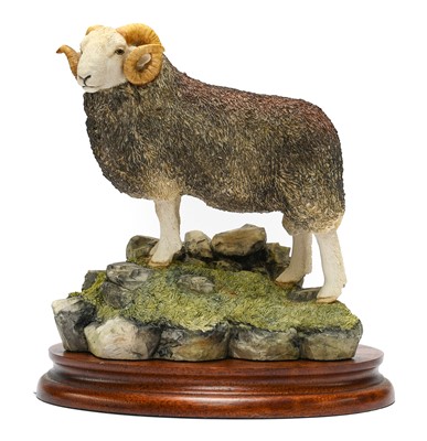 Lot 1090 - Border Fine Arts 'Herdwick Tup'