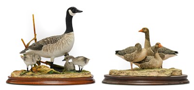 Lot 1118 - Border Fine Arts 'Canada Goose & Goslings' (Style Three)