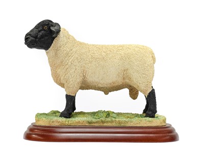 Lot 1113 - Border Fine Arts Studio Sheep Models