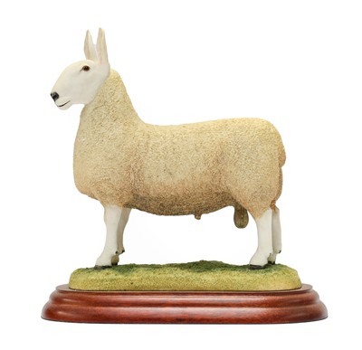 Lot 1113 - Border Fine Arts Studio Sheep Models