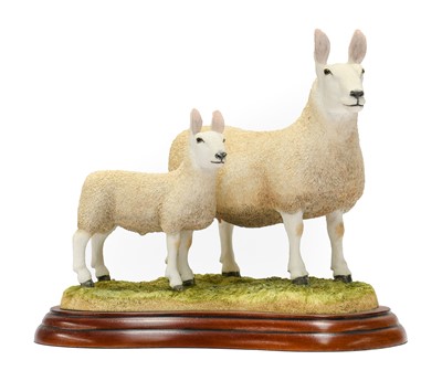 Lot 1113 - Border Fine Arts Studio Sheep Models