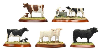 Lot 1111 - Border Fine Arts Studio Cattle Models