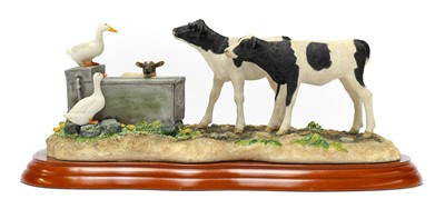 Lot 1111 - Border Fine Arts Studio Cattle Models