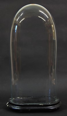 Lot 120 - Glass Dome: A Late 19th Century Oval Glass...