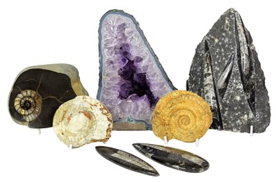 Lot 237 - Minerals/Fossils: An Amethyst Geode, Ammonite...