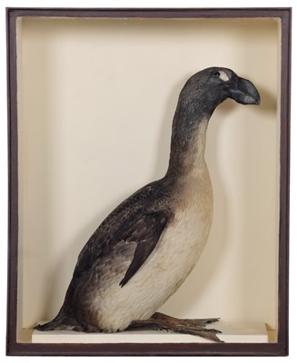 Lot 367 - Taxidermy: An Antique Re-creation of a Great...