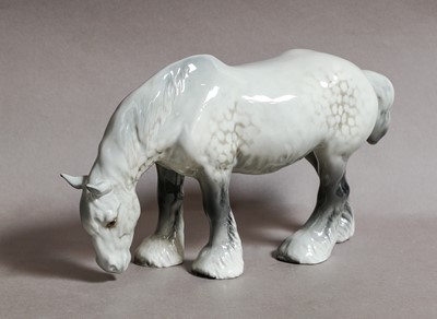 Lot 1175 - Beswick Grazing Shire