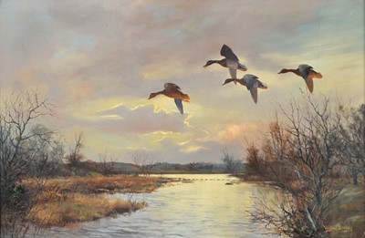 Lot 602 - Wilfred Bailey (fl.1942-1956) Ducks in flight...