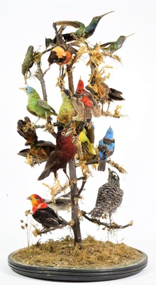 Lot 358 - Taxidermy: A Late Victorian Diorama of...
