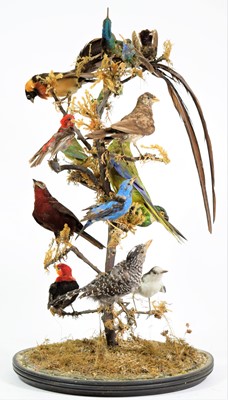 Lot 358 - Taxidermy: A Late Victorian Diorama of...