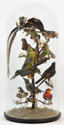 Lot 358 - Taxidermy: A Late Victorian Diorama of...