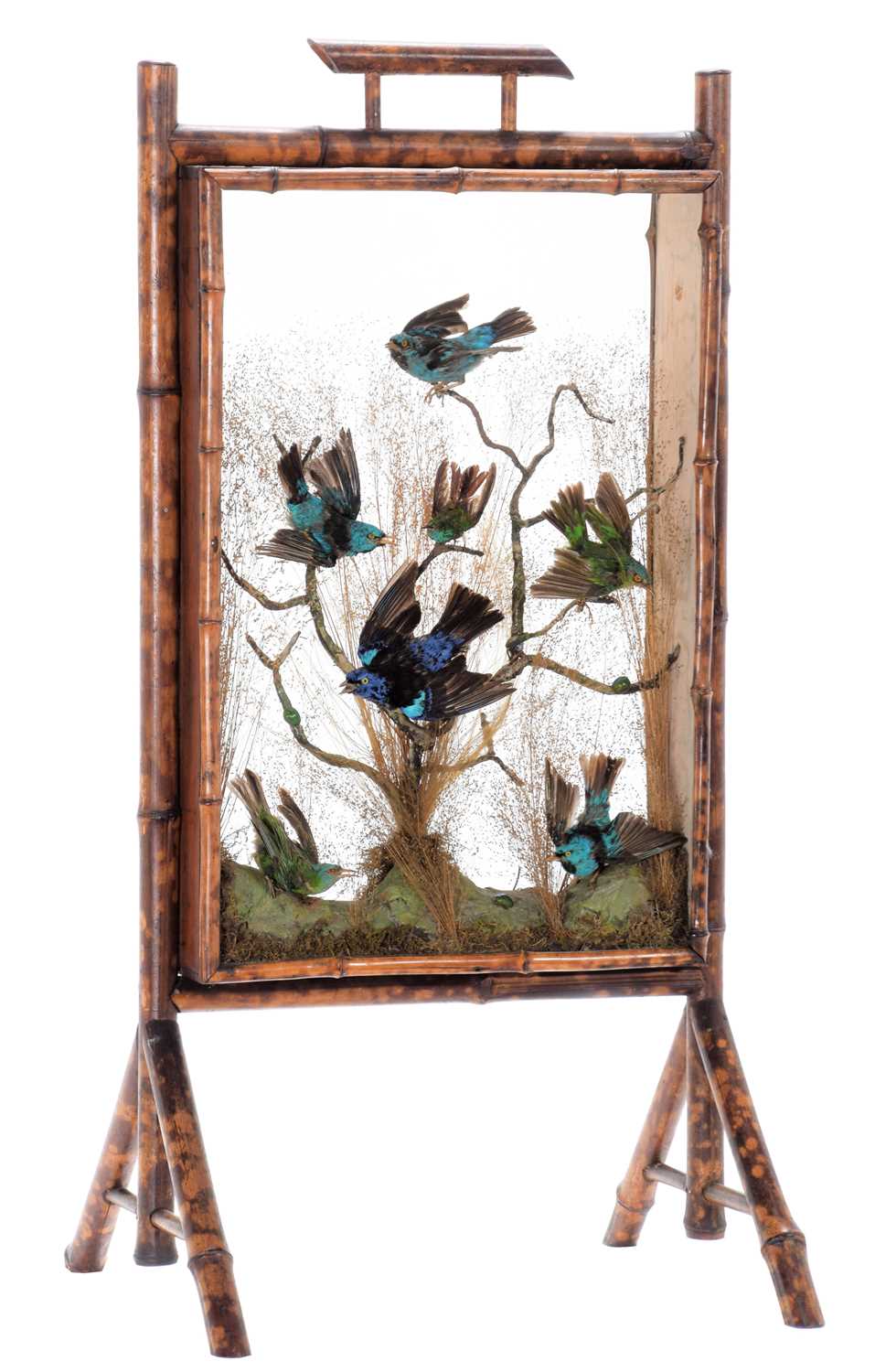 Lot 68 - Taxidermy: A Late Victorian Bamboo Framed...