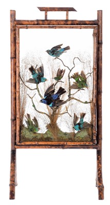 Lot 68 - Taxidermy: A Late Victorian Bamboo Framed...