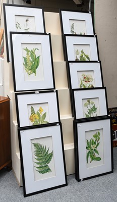 Lot 401 - A group of decorative botanical prints (12)