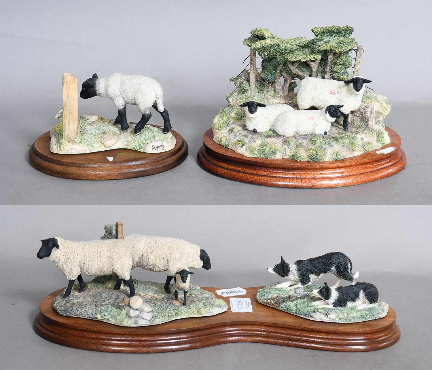 Lot 1200 - Border Fine Arts Sheep Models Comprising: