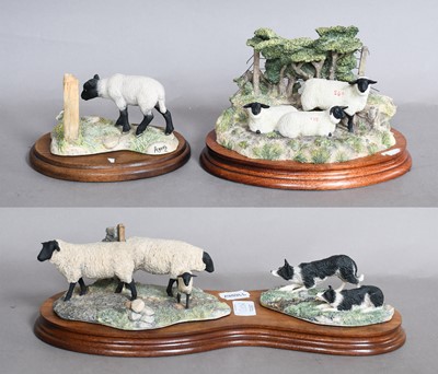 Lot 1200A - Border Fine Arts Sheep Models Comprising:...