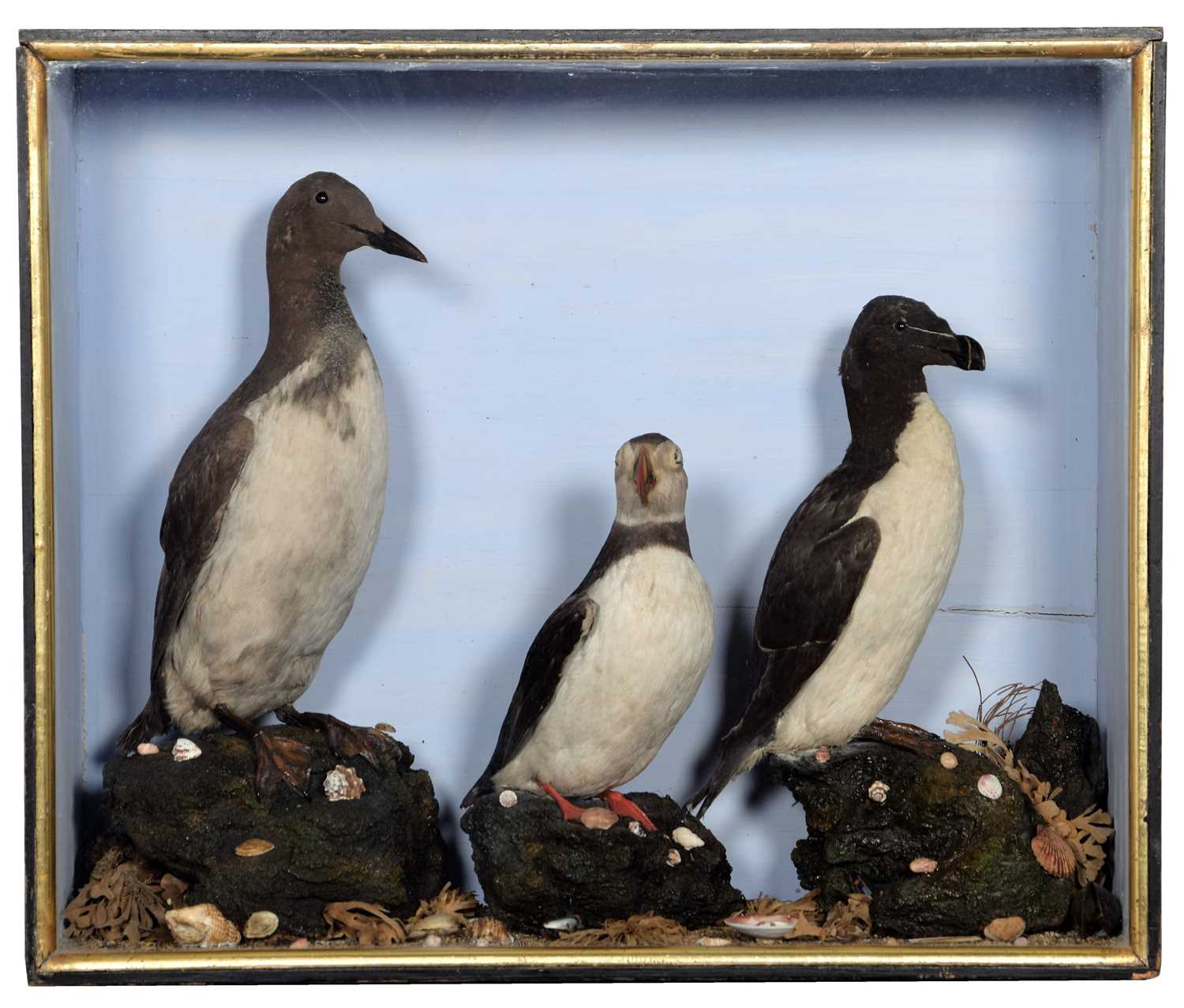Lot 192 - Taxidermy: A Cased Late Victorian Diorama of...