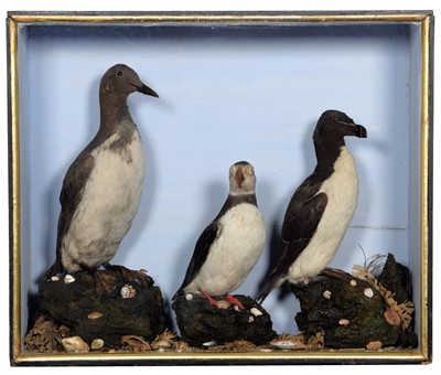 Lot Taxidermy: A Cased Late Victorian Diorama of...