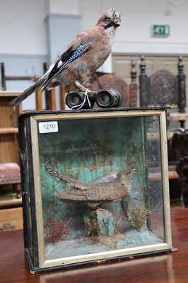 Lot 1210 - Taxidermy: A Late Victorian Cased Common...