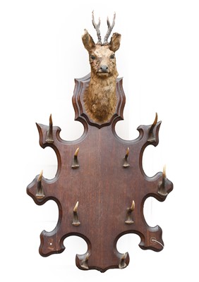 Lot 1077 - Animal Furniture: A Coat Rack, late 19th...