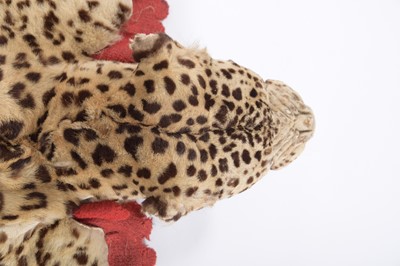 Lot 91 - Taxidermy: Indian Leopard Skin Rug (Panthera...