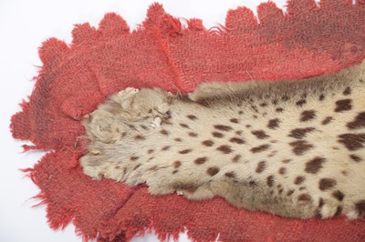 Lot 91 - Taxidermy: Indian Leopard Skin Rug (Panthera...