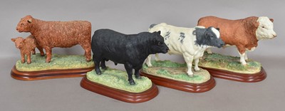 Lot 177 - Border Fine Arts Studio Cattle Including:...