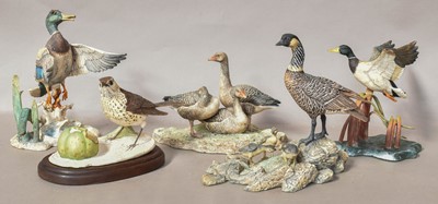 Lot 291 - Border Fine Arts Bird Models, including...