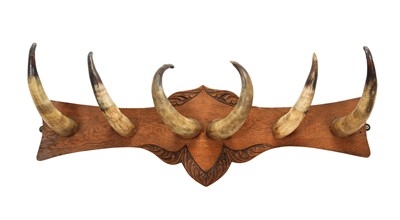 Lot 146 - Animal Furniture: A Cow Horn Mounted Coat Rack,...