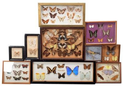 Lot 1196 - Entomology: A Collection of Tropical...