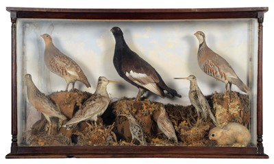 Lot 1130 - Taxidermy: A Victorian Cased Diorama of...