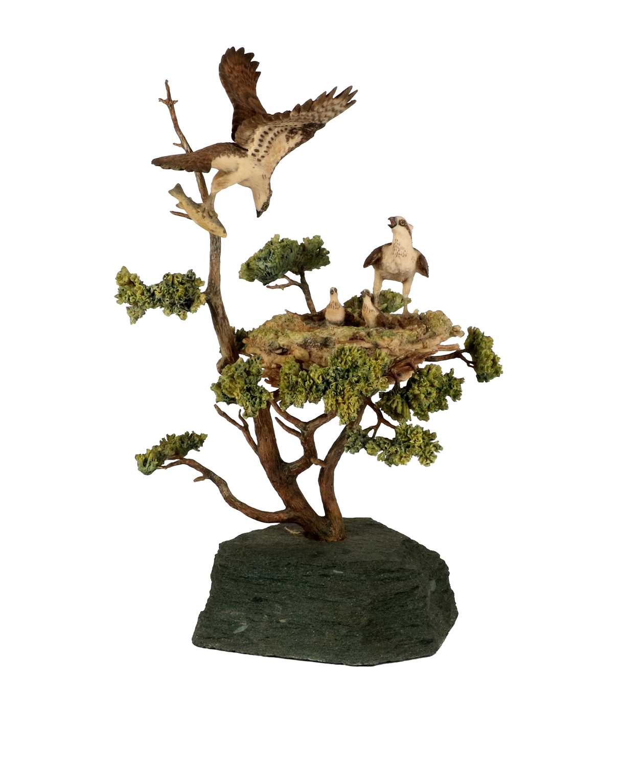 Border Fine Arts 'Ospreys' (with Nest, Chicks and